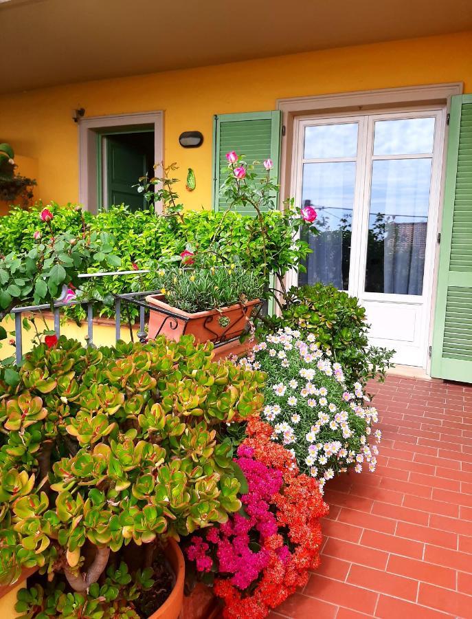 Casa Marta Bed & Breakfast มาสซา ภายนอก รูปภาพ