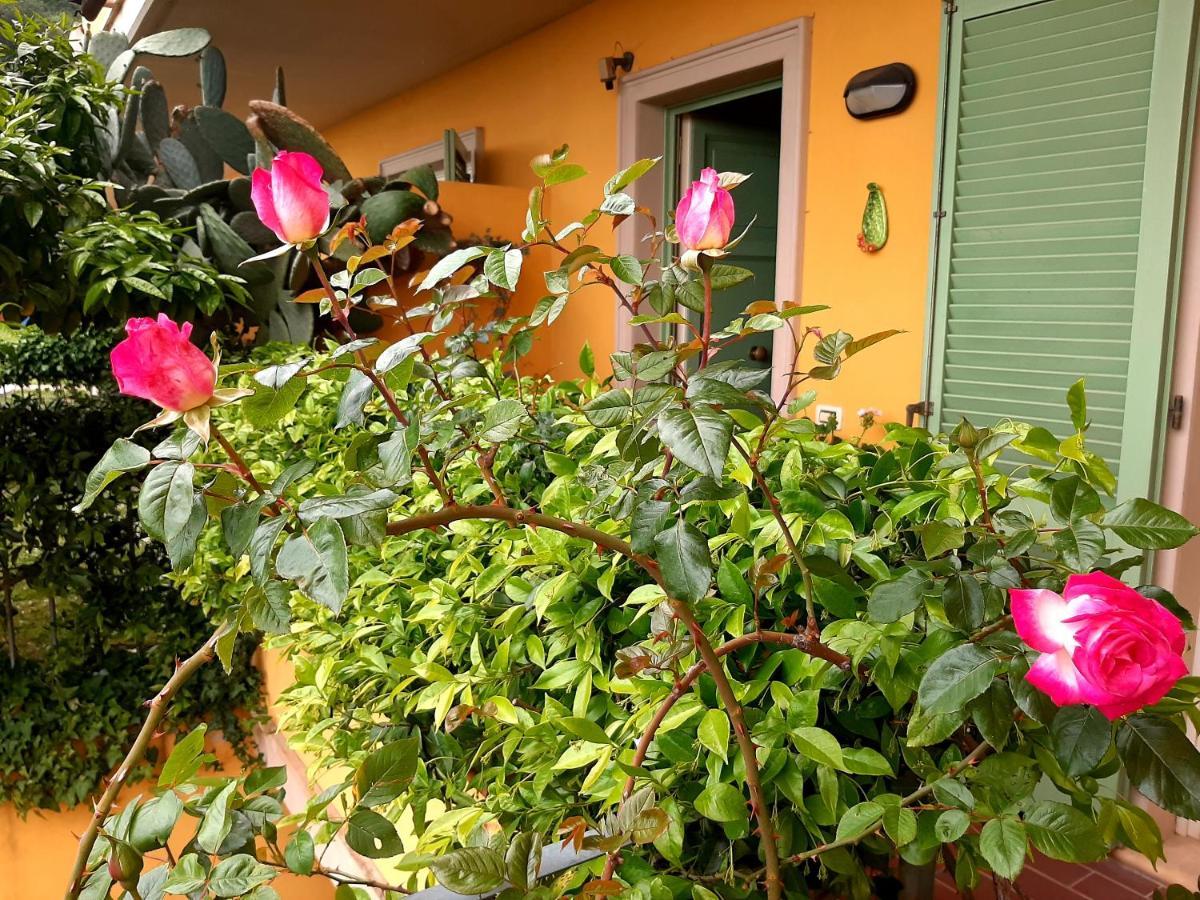 Casa Marta Bed & Breakfast มาสซา ภายนอก รูปภาพ
